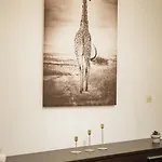 L'horizon *